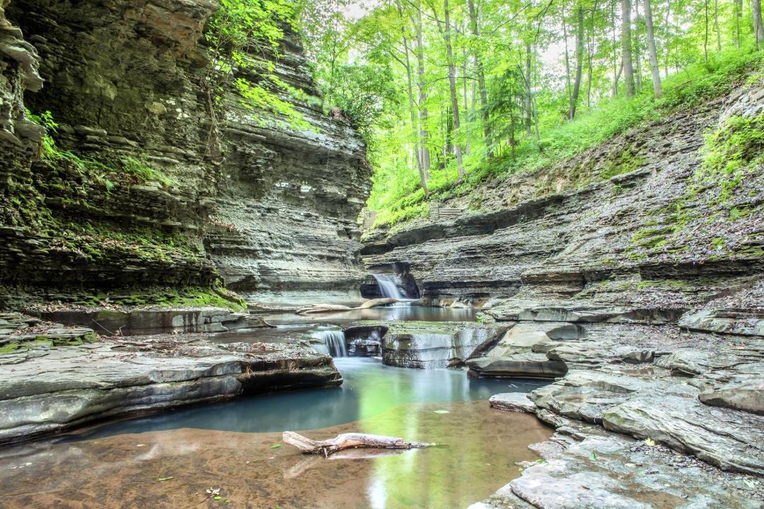 Photo of Others in South Hill