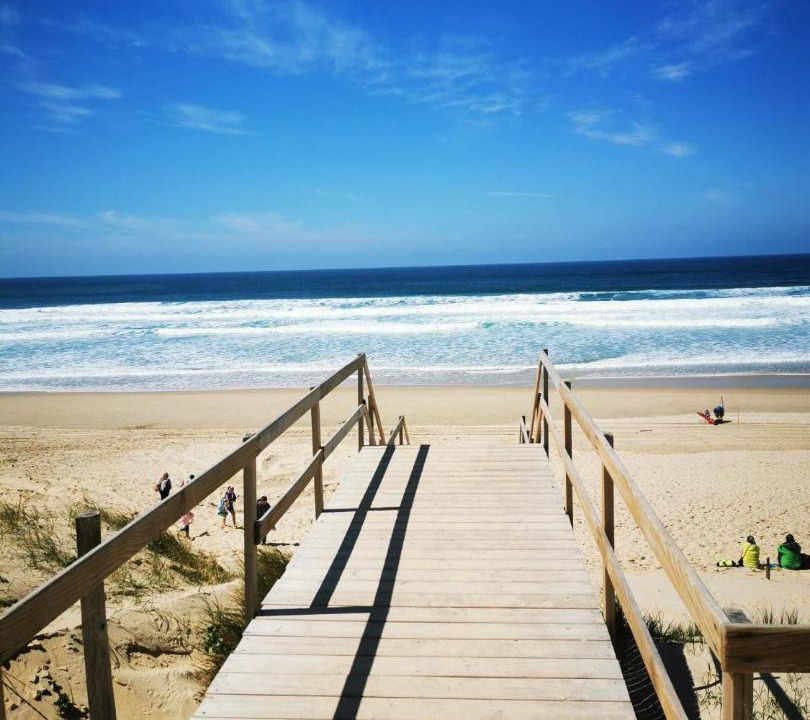 Photo of Others in Labouheyre