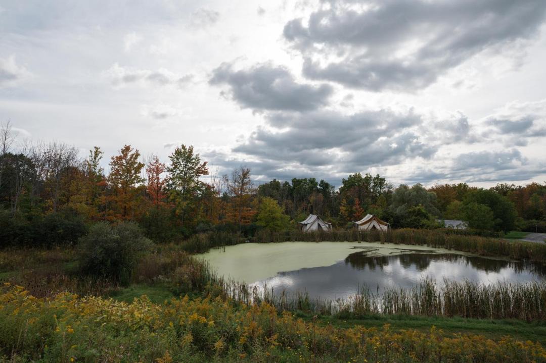 Photo of Others in South Hill