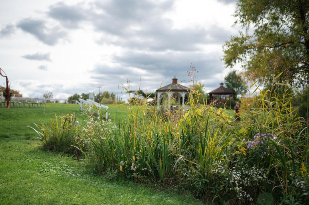 Photo of Others in South Hill