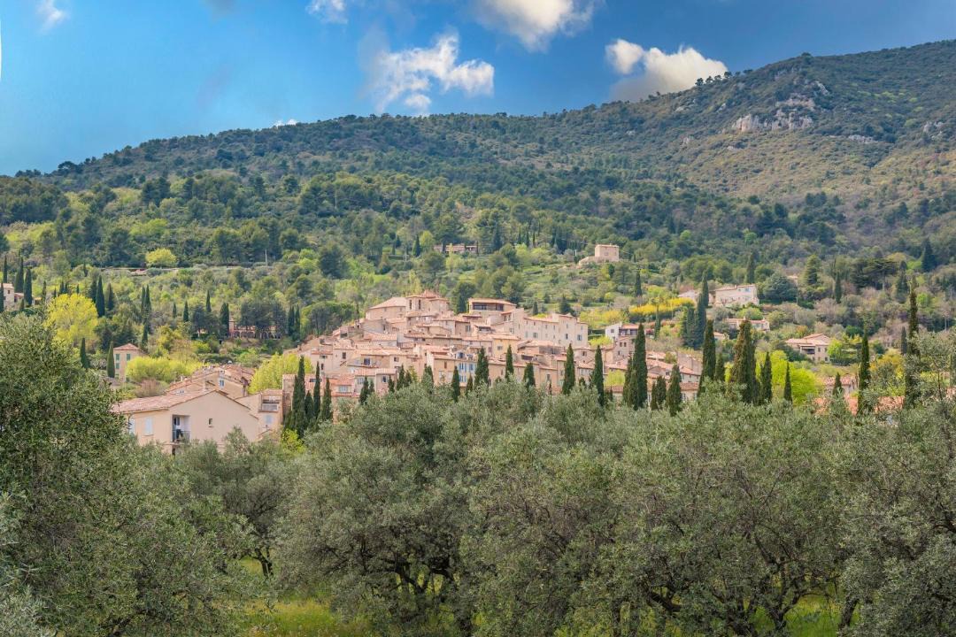 Photo of Outdoor in Seillans