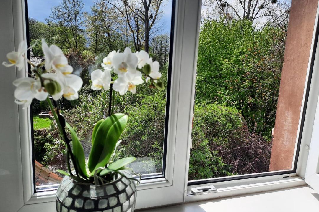 Photo of Others in Reichshoffen