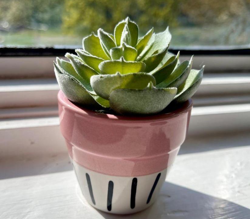 Photo of Others in Bicester