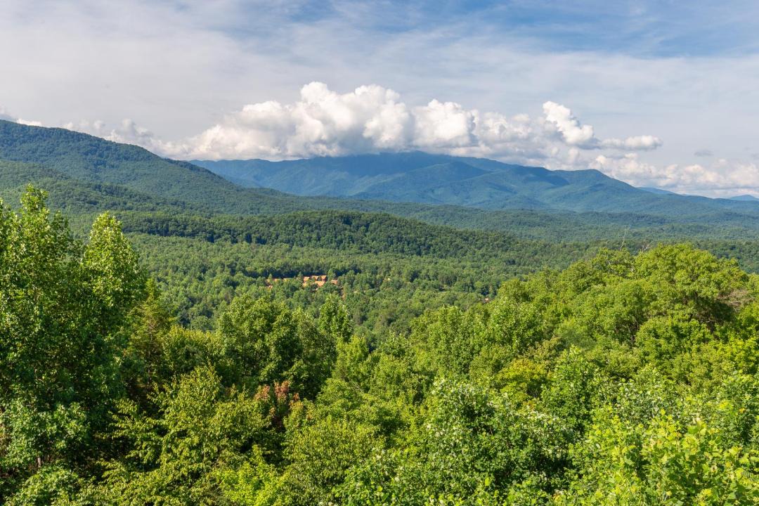 Photo of Others in Gatlinburg