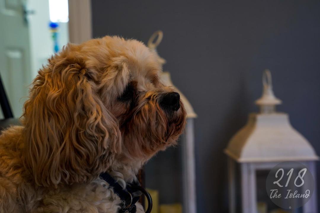 Photo of Others in Bont Newydd