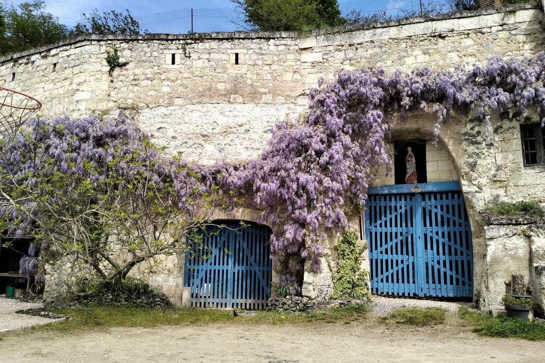 Photo of Others in Montrichard