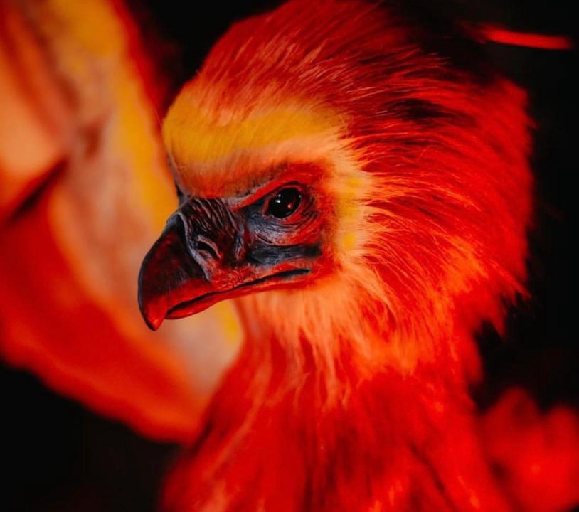 Photo of Others in Le Bon Sauveur