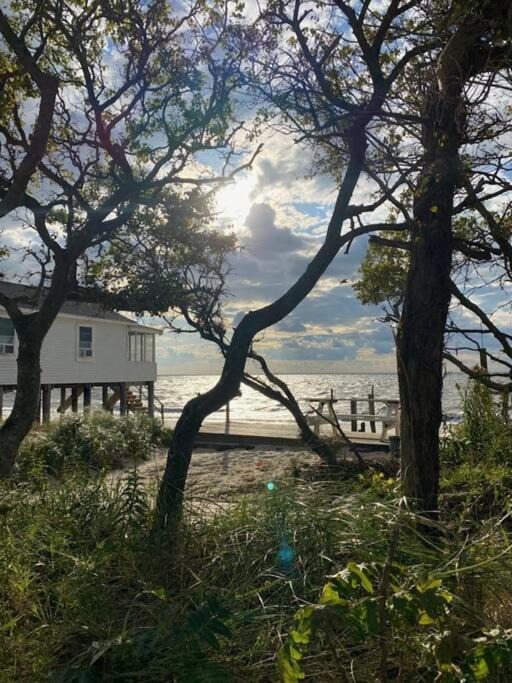 Photo of Others in Goshen