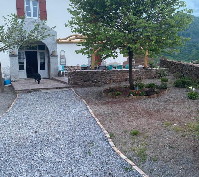 Photo of Others in Hosta