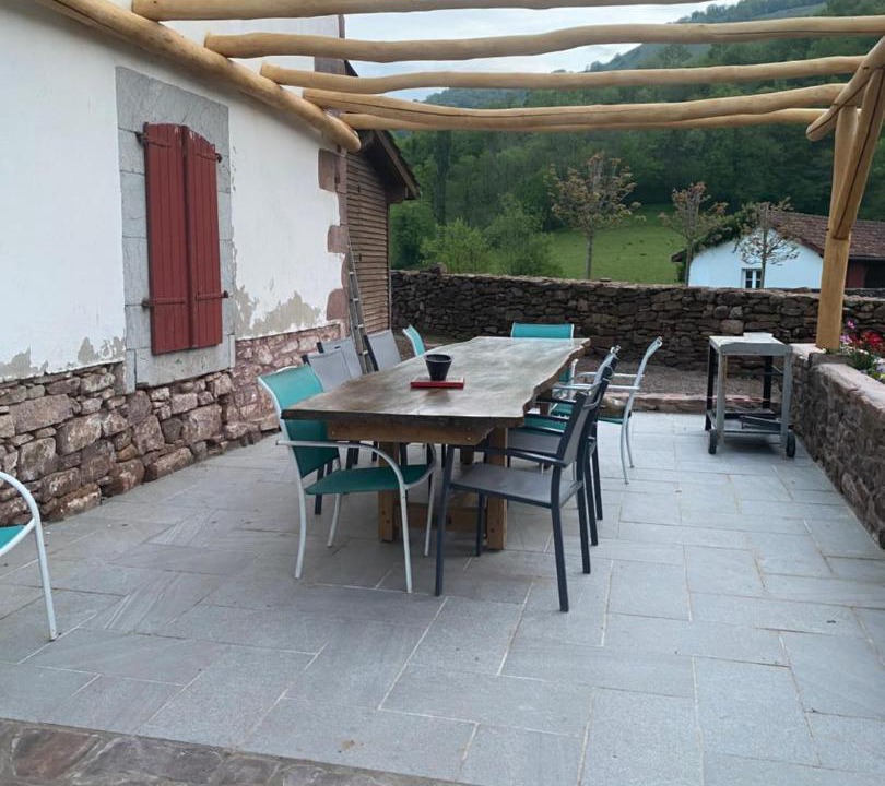 Photo of Others in Hosta