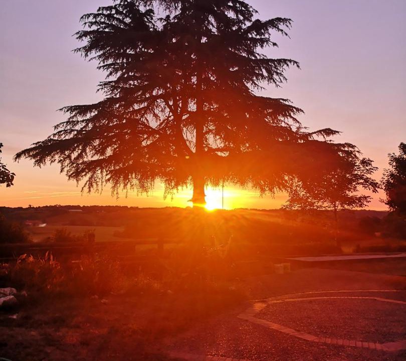 Photo of Outdoor in Maylis