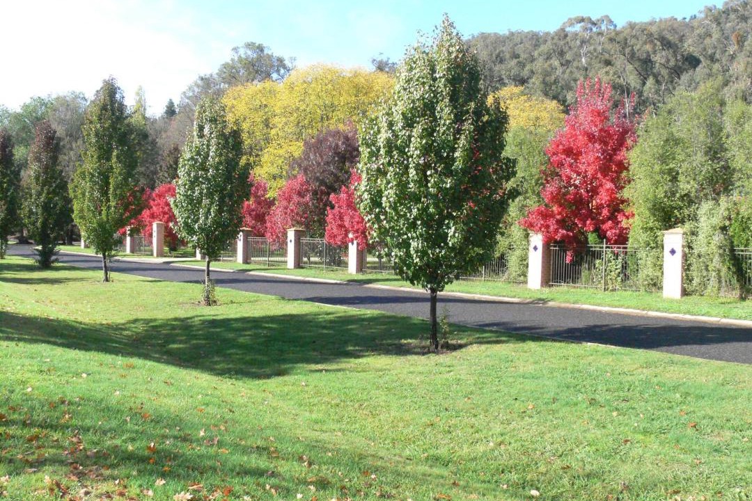 Photo of Others in Bright