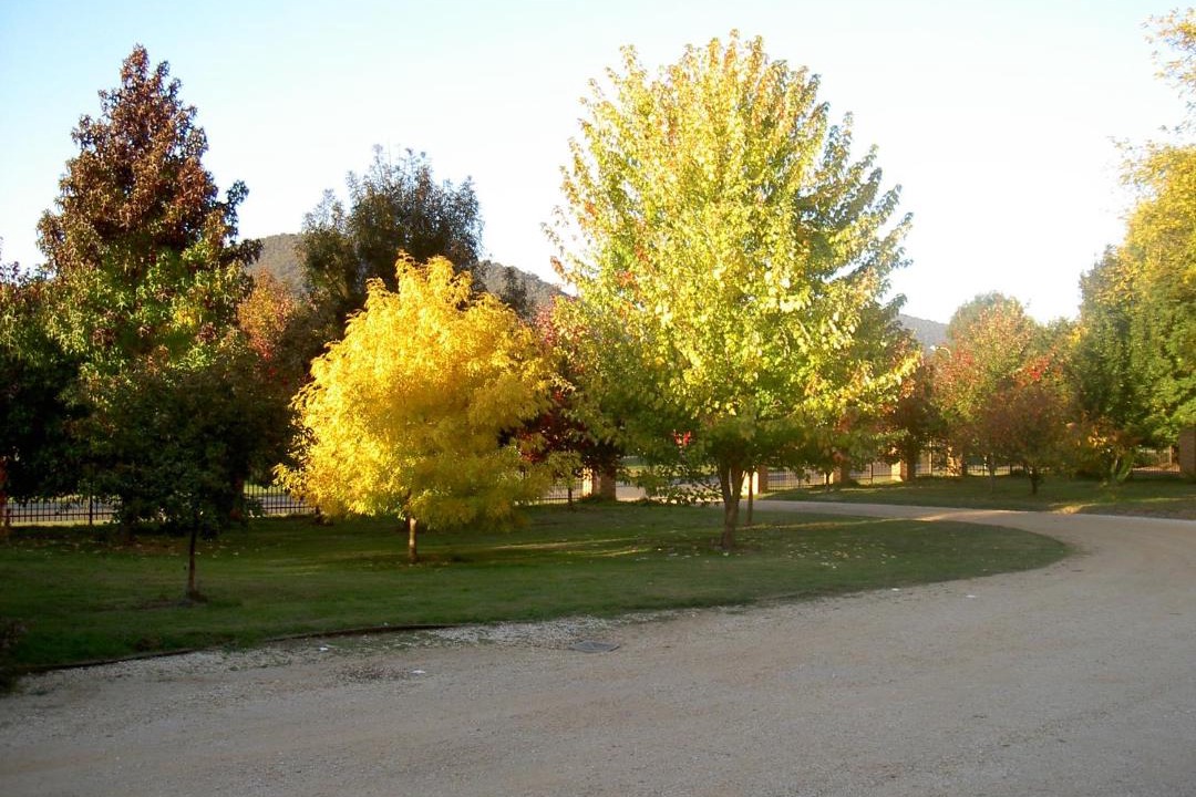 Photo of Others in Bright