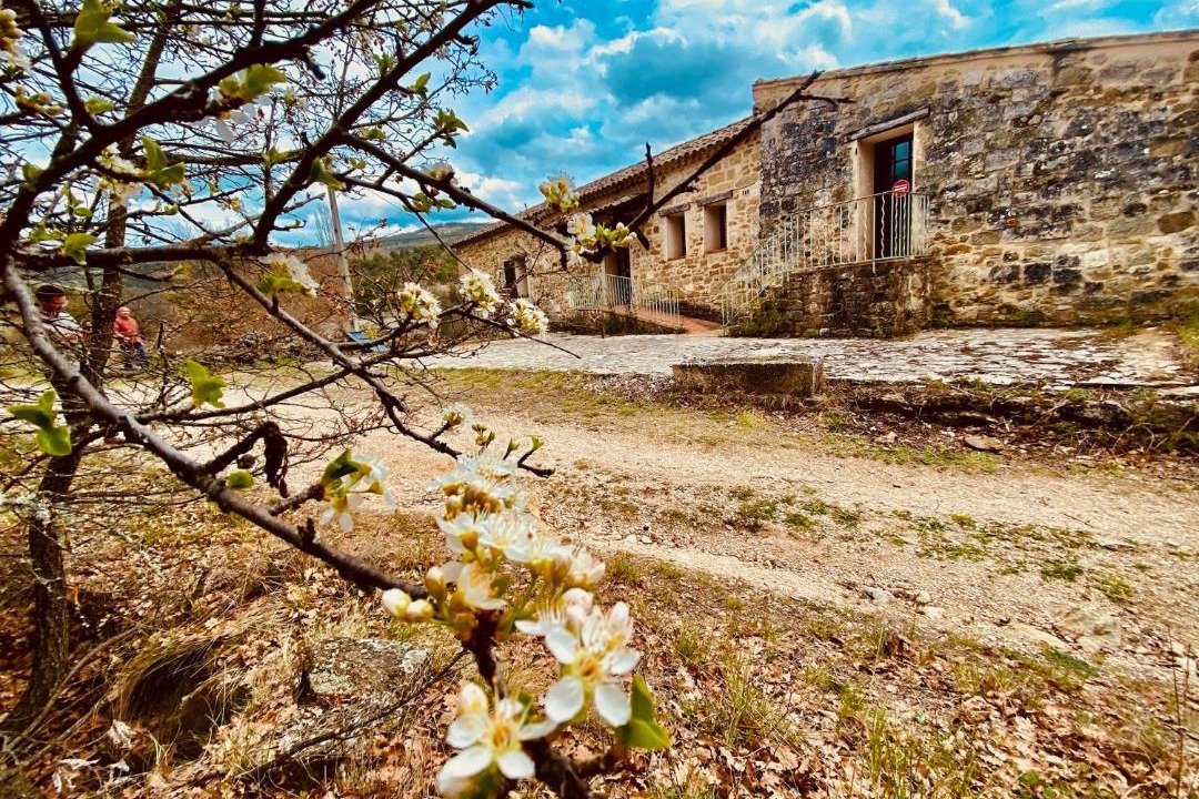 Photo of Others in Simiane-la-Rotonde