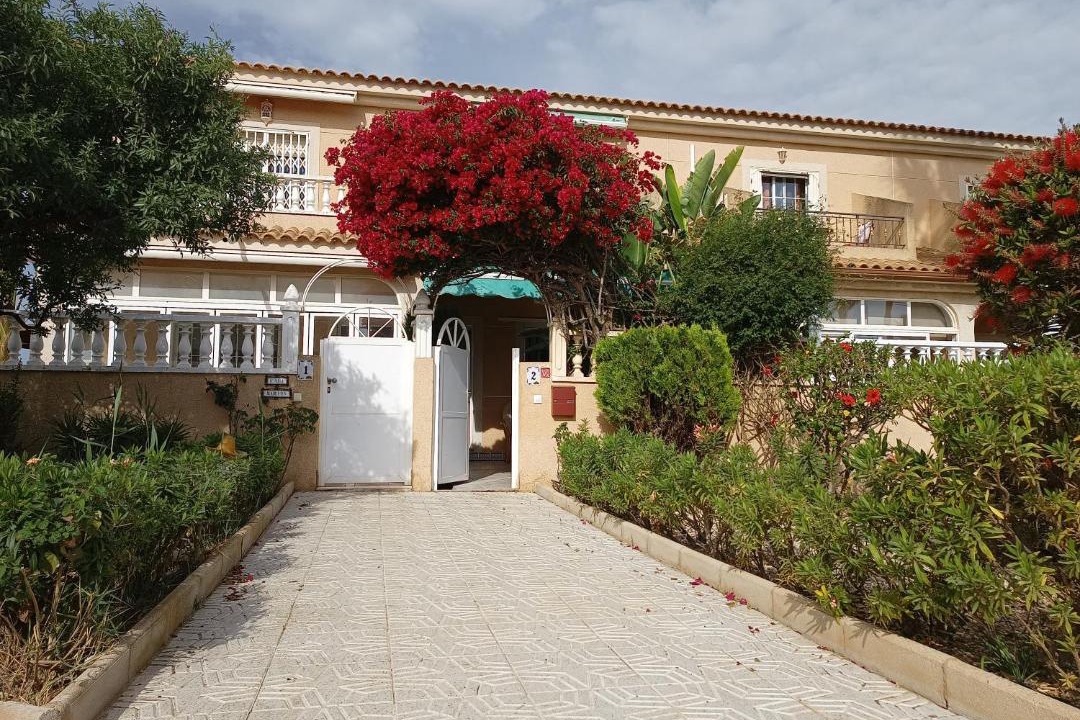 Photo of Others in Estrella del Mar