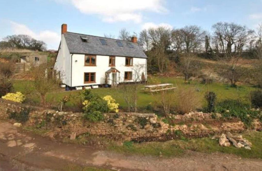 Photo of Others in West Buckland