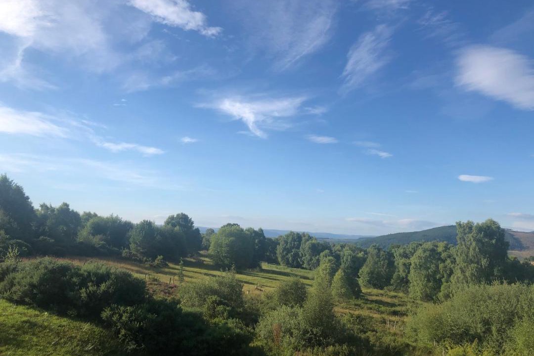 Photo of Others in Lewiston