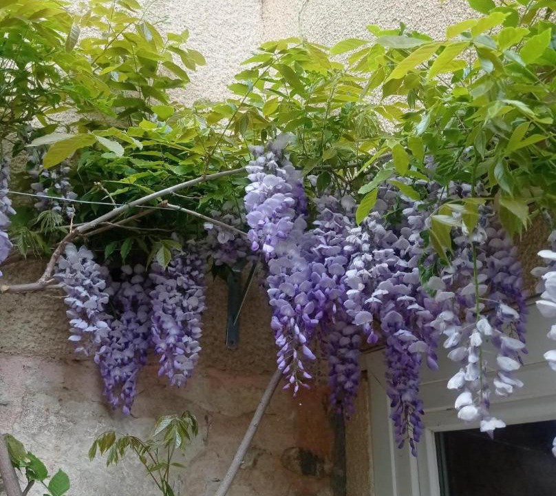 Photo of Others in Saint-Georges-de-Reneins