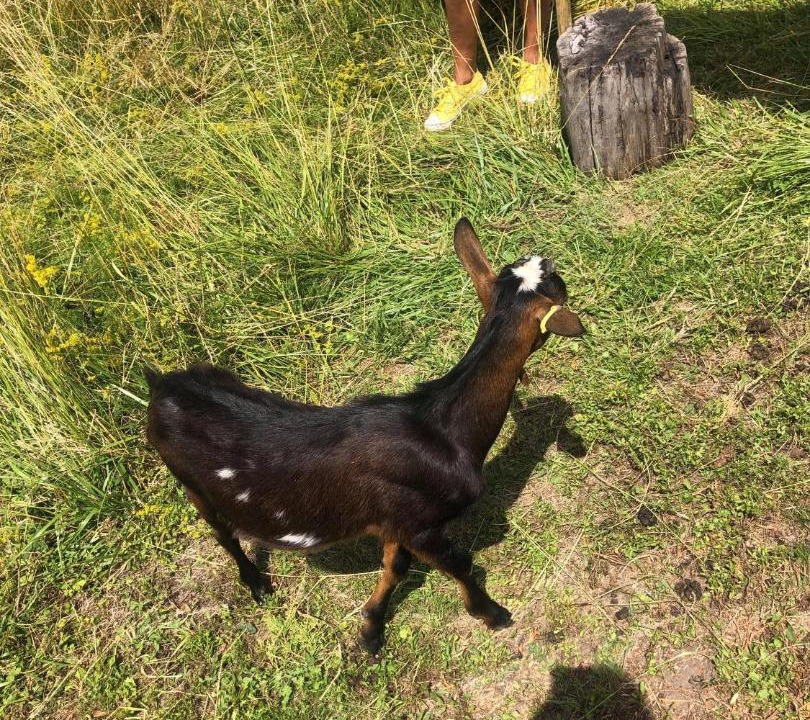 Photo of Others in Lachambre