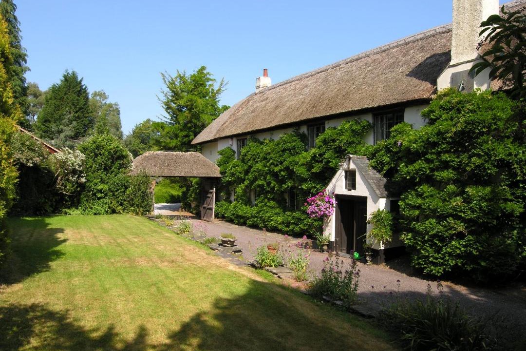 Photo of Others in Minehead