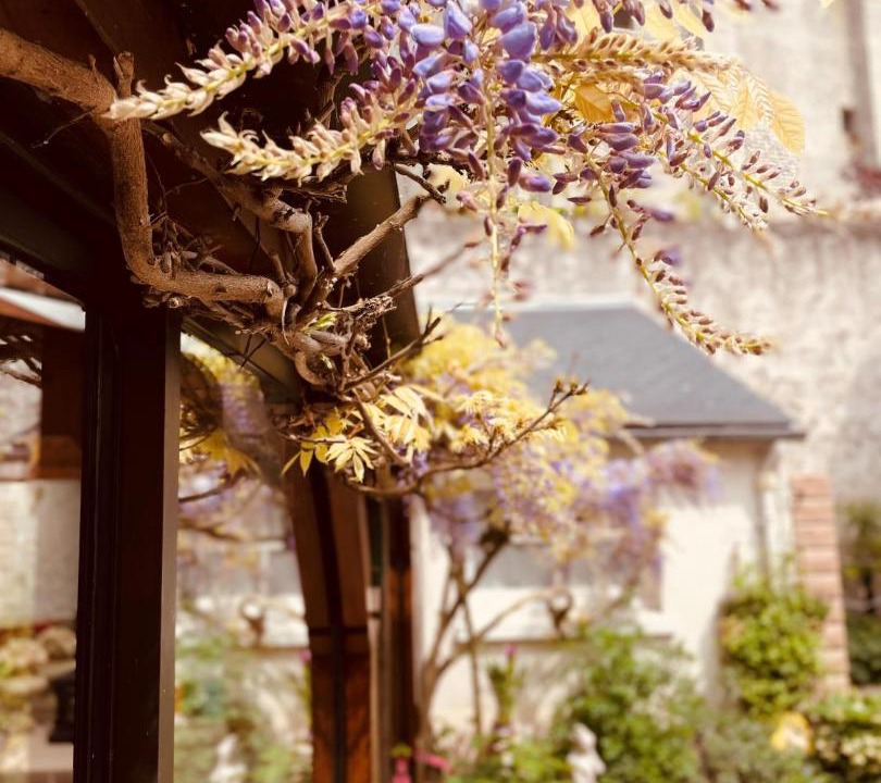 Photo of Others in Beaugency