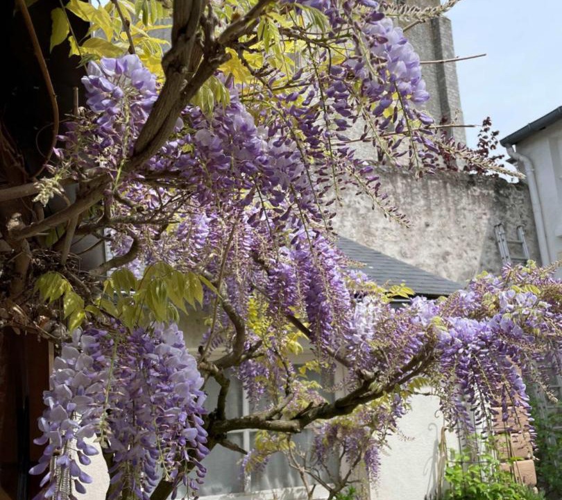 Photo of Others in Beaugency