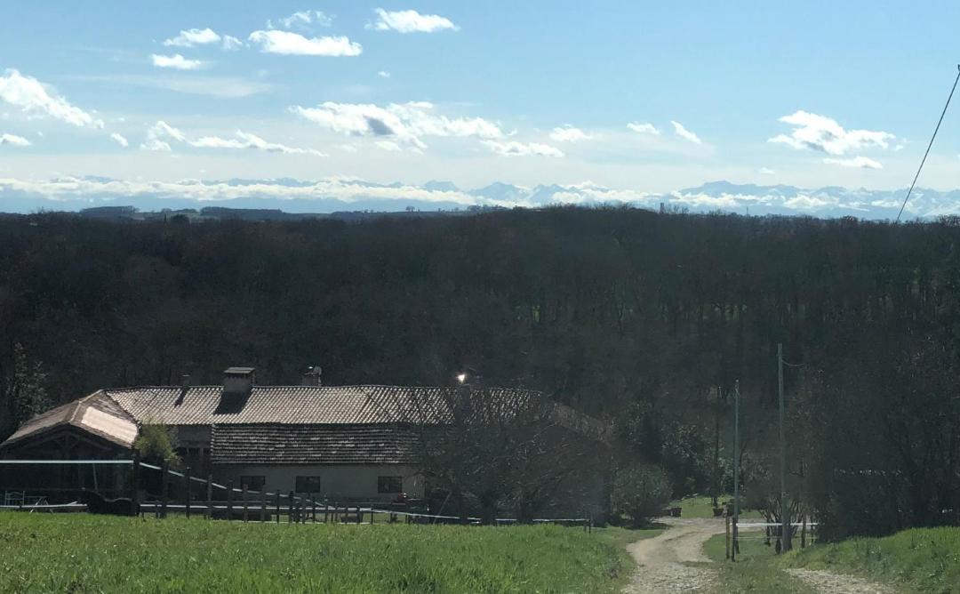 Photo of Others in Gueyze