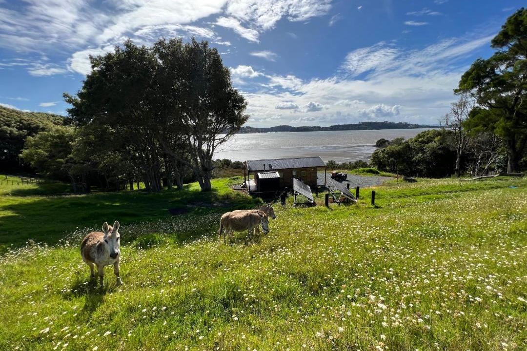 Photo of Others in Mangonui