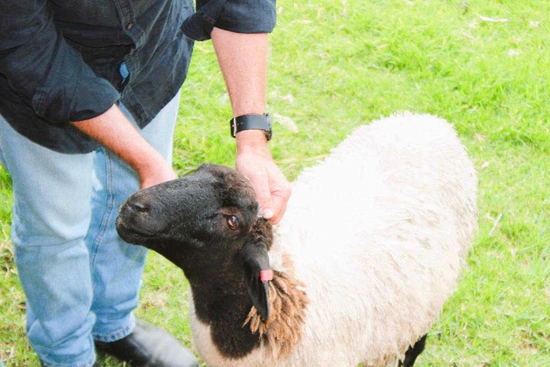 Photo of Others in Bilpin