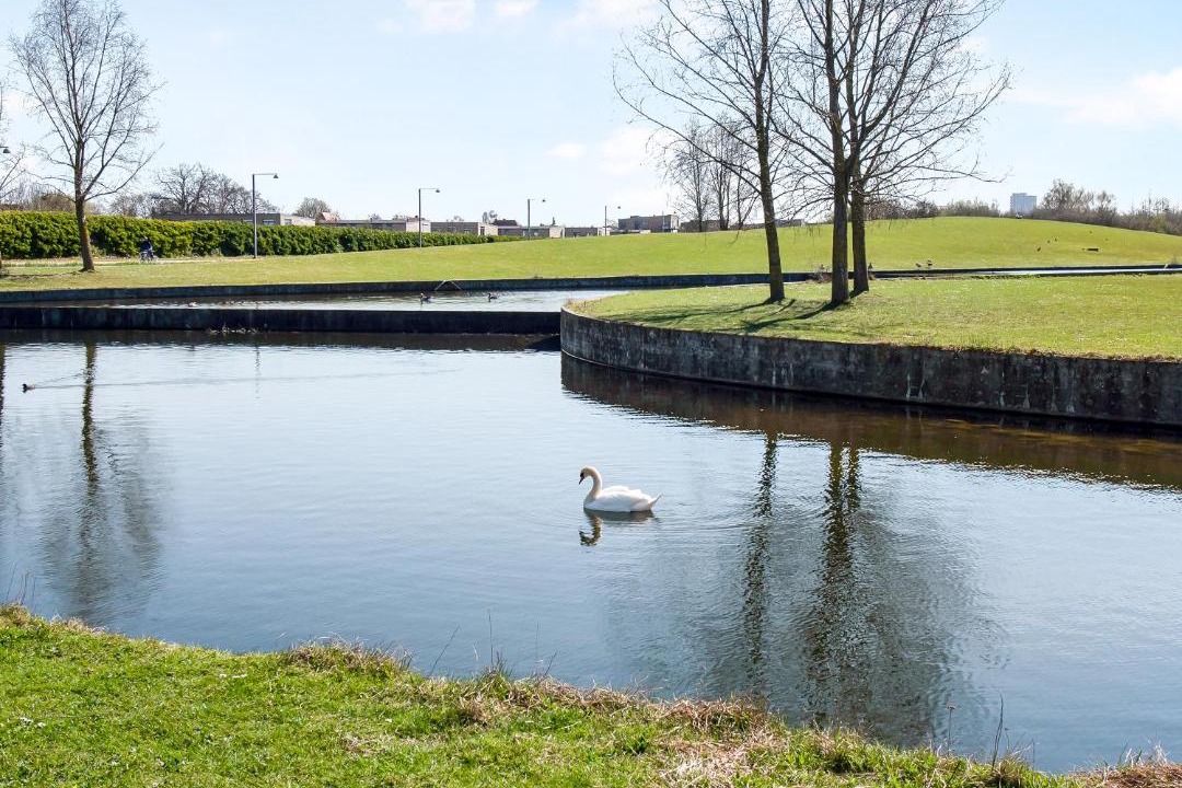 Photo of Others in Amager