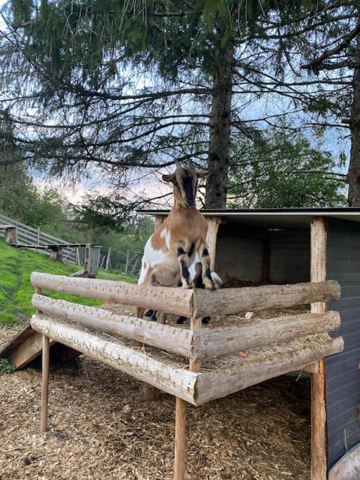 Photo of Others in Pierrefontaine-les-Varans