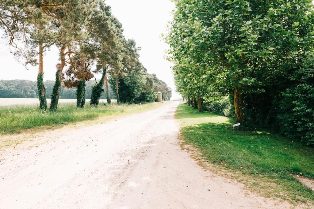 Photo of Others in Thetford