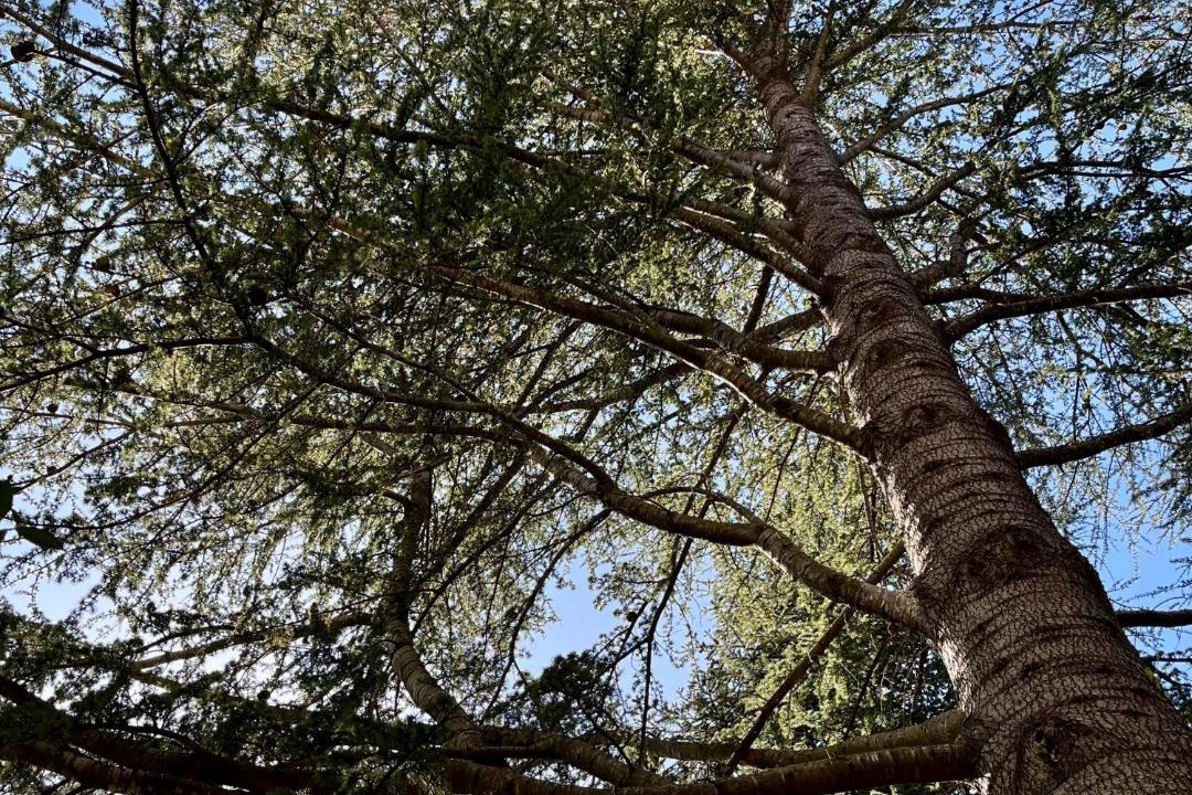 Photo of Outdoor in Ucciani