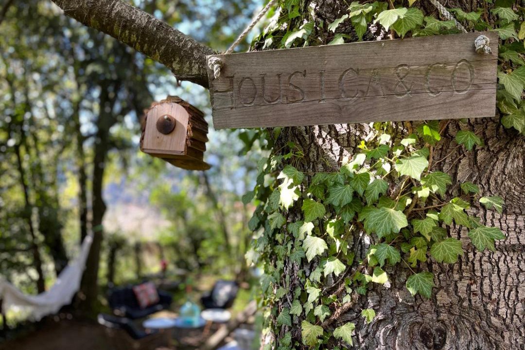 Photo of Others in Ucciani