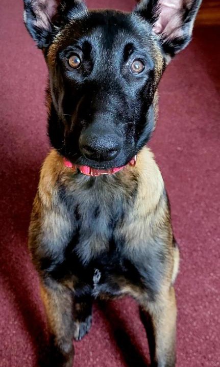 Photo of Others in Bangor