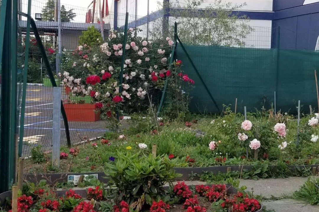 Photo of Others in Trappes