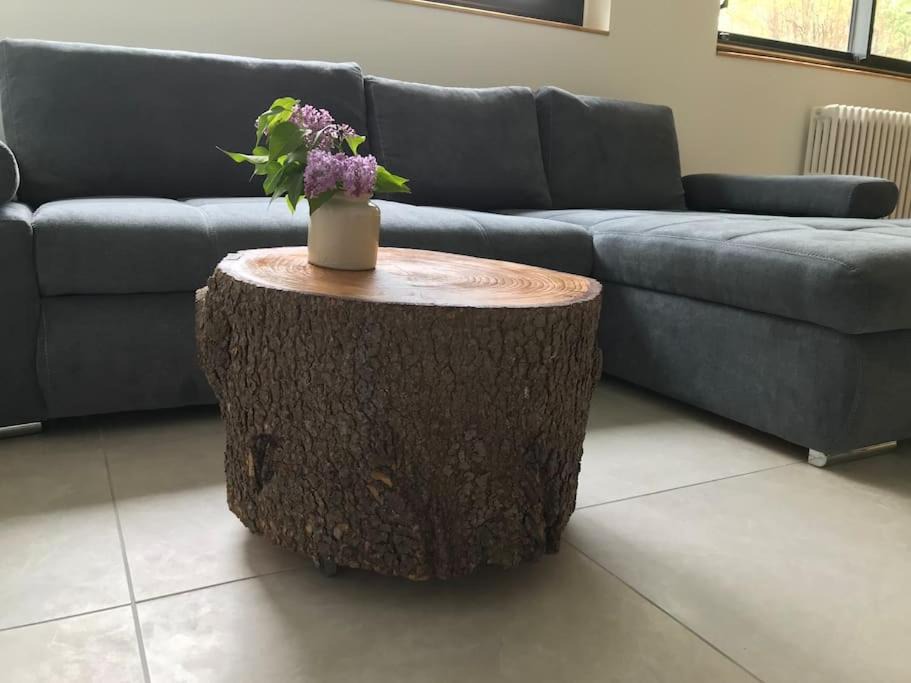 Photo of Livingroom in Saint-Marcellin