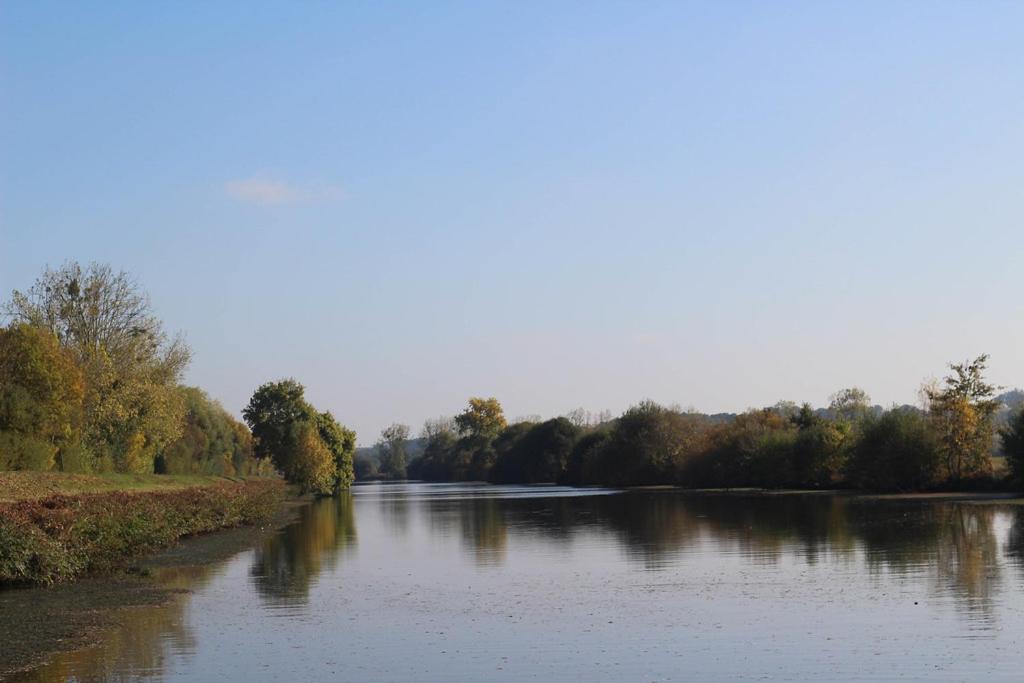 Photo of Outdoor in La Chapelle-de-Brain