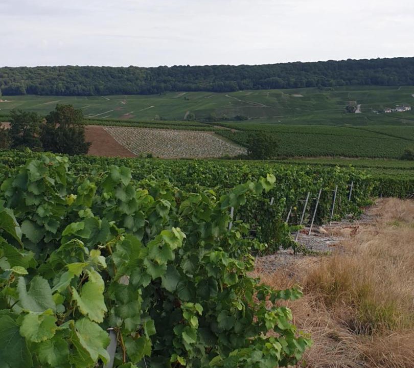 Photo of Others in Vinay