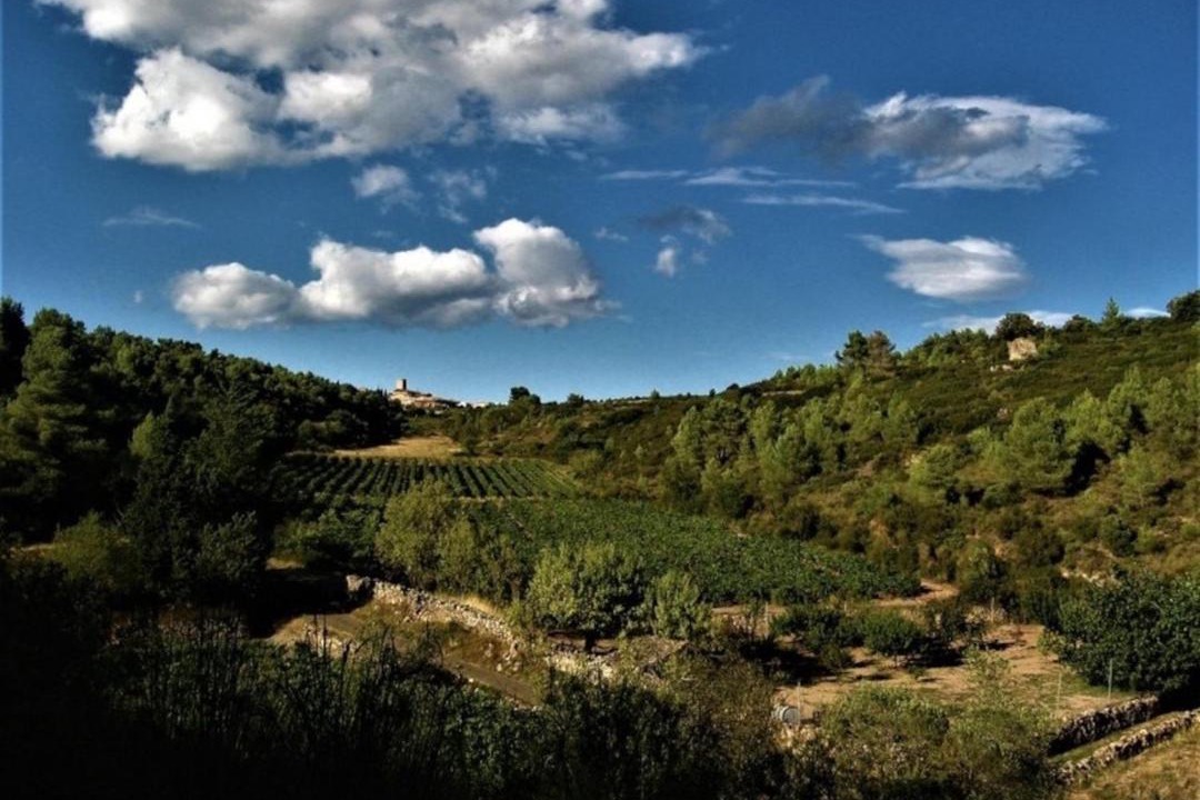 Photo of Outdoor in Villespassans