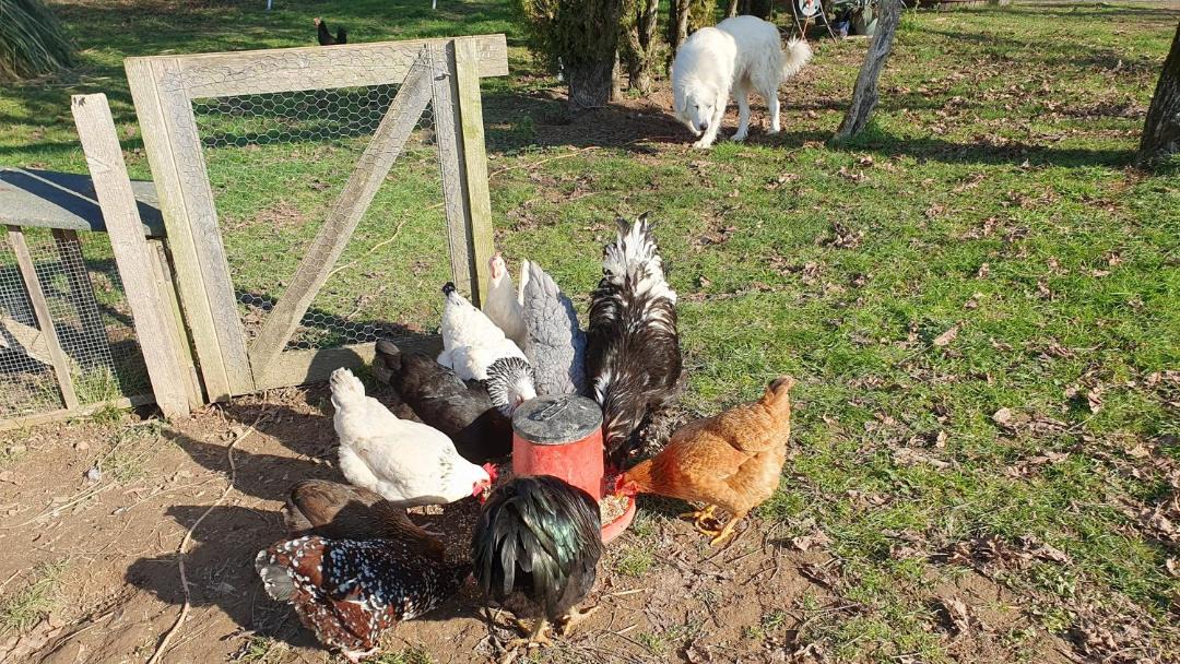 Photo of Others in Frejairolles