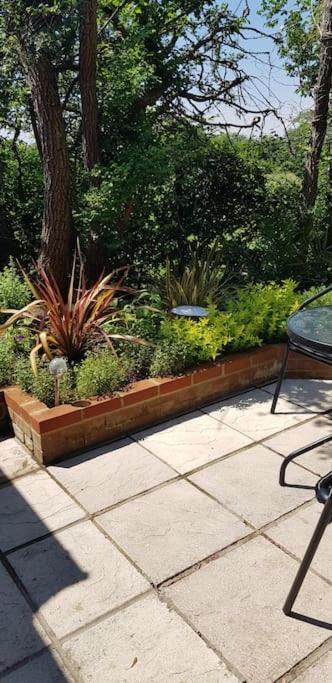 Photo of Others in Birch