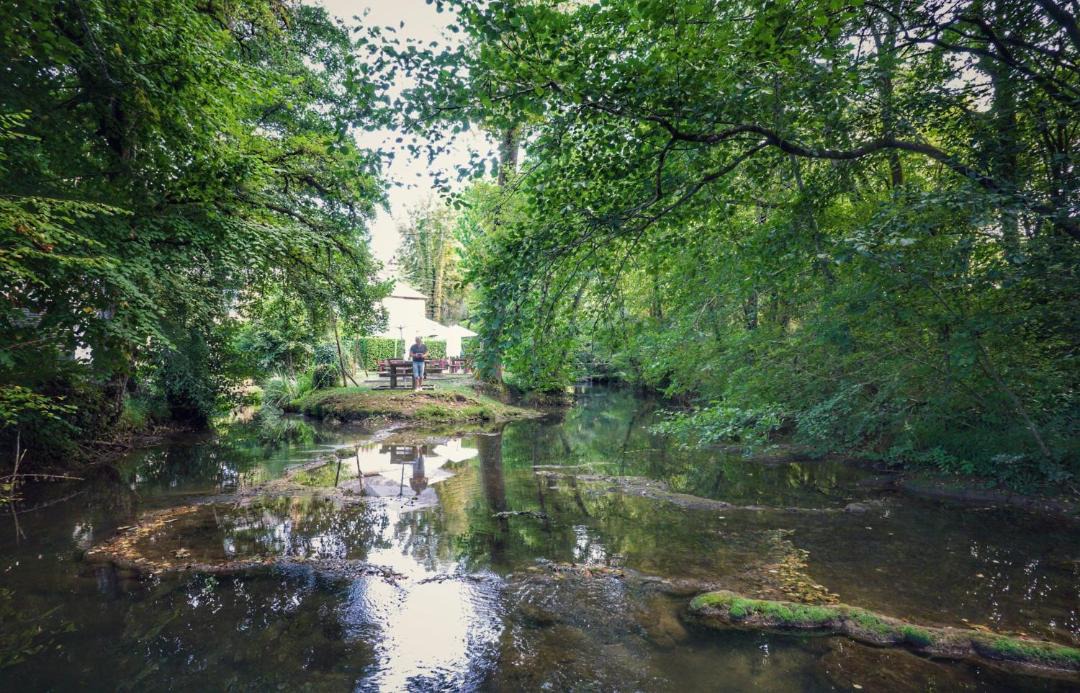 Photo of Others in Terrasson-la-Villedieu
