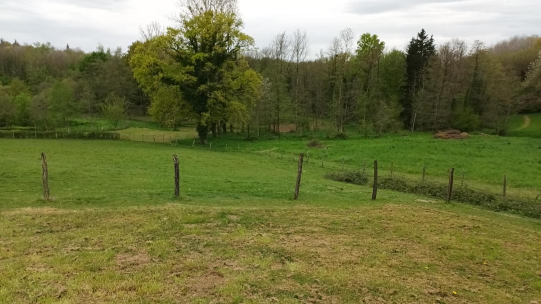 Photo of Others in Condal