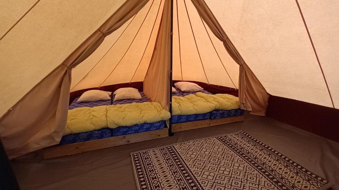 Photo of Others in Condal