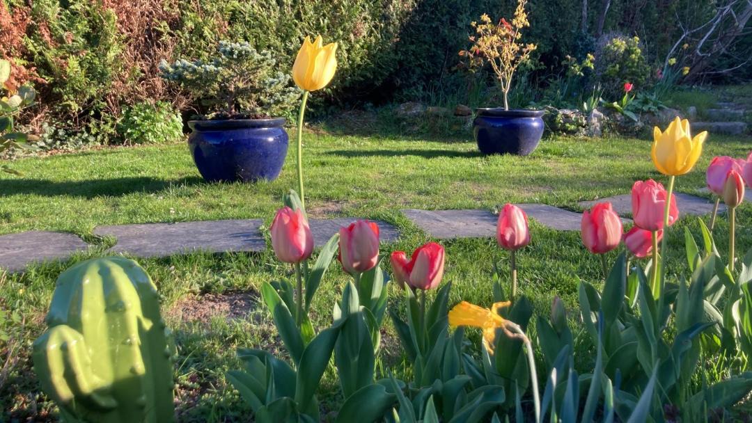 Photo of Outdoor in Vernouillet