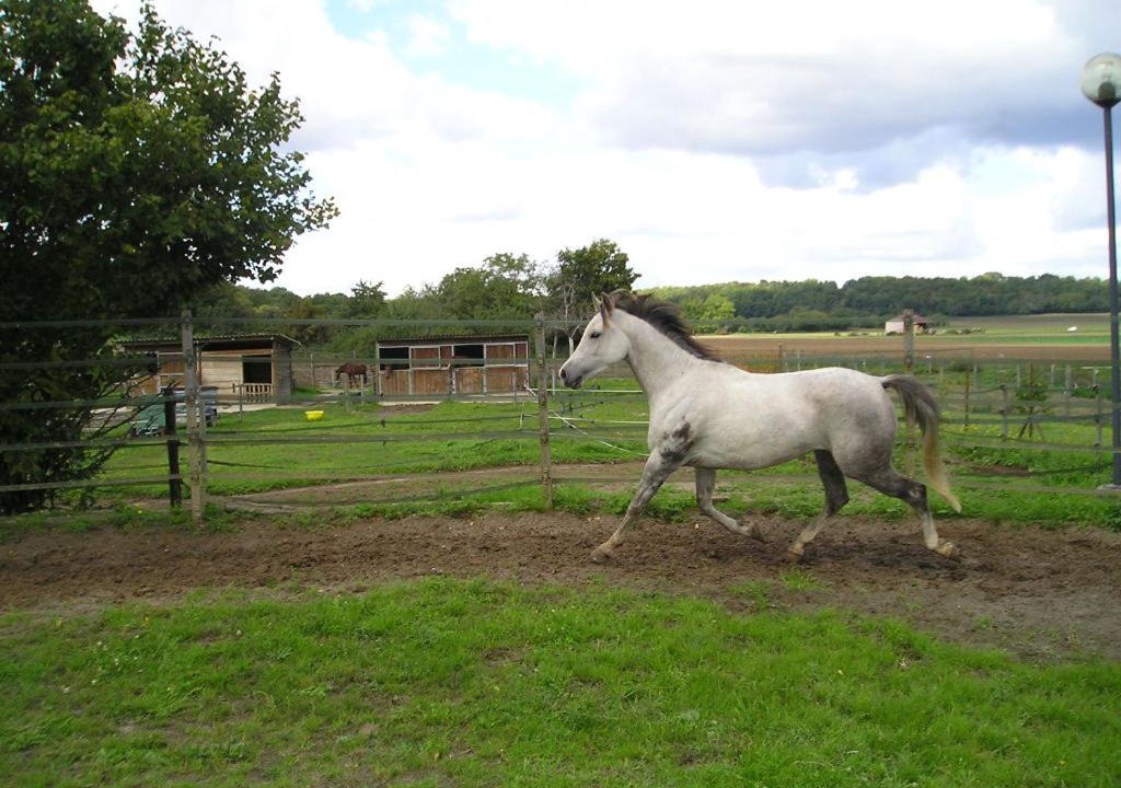 Photo of Others in Villiers-sous-Grez