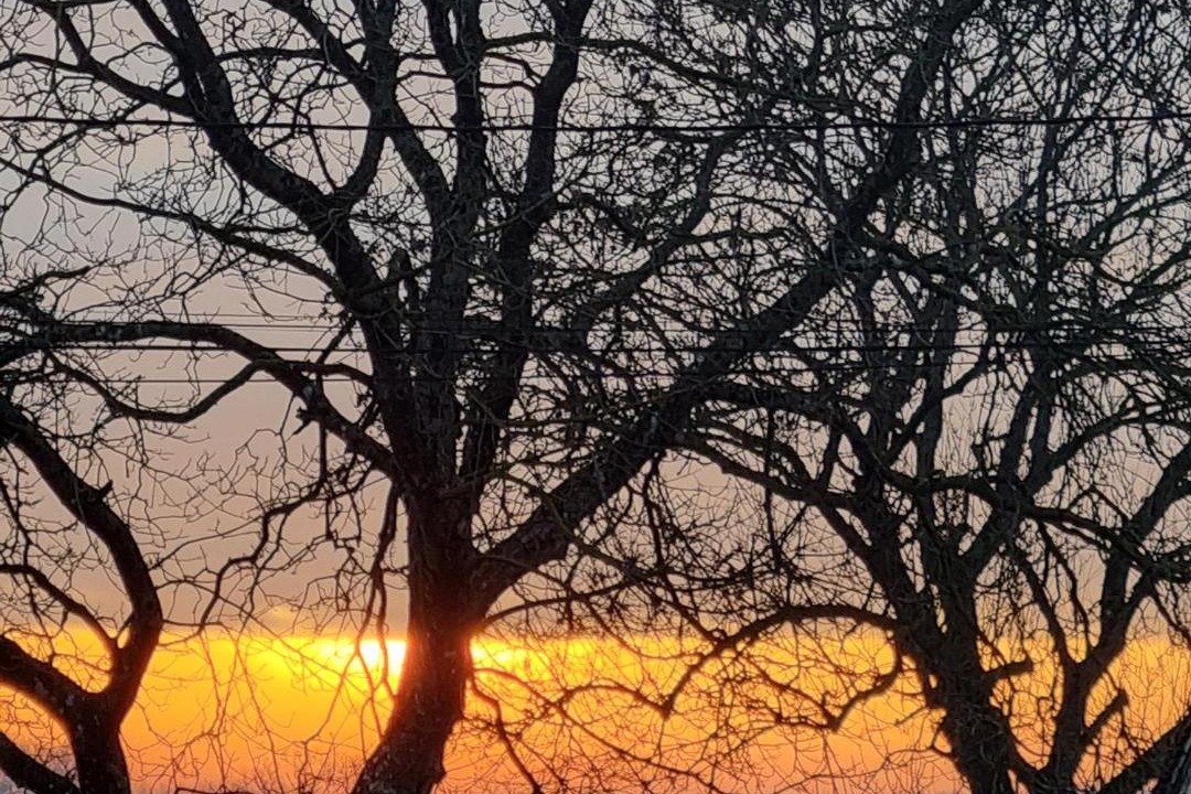 Photo of Others in Ige