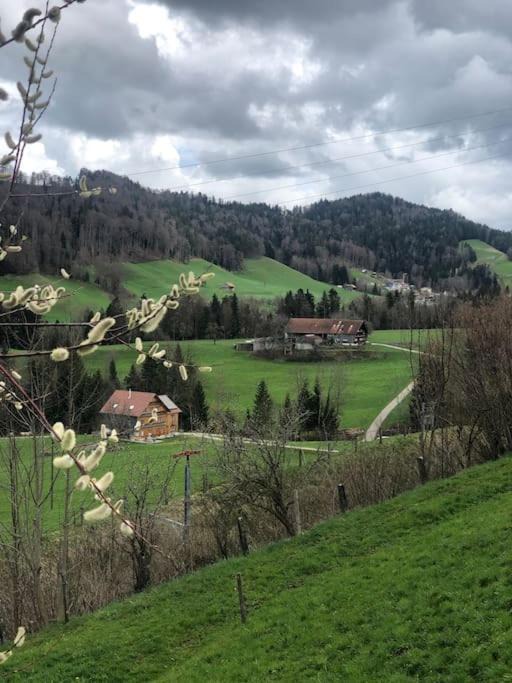 Photo of Others in Neckertal