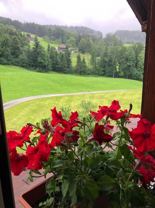 Photo of Others in Neckertal